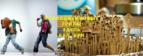 МДПВ Алексин