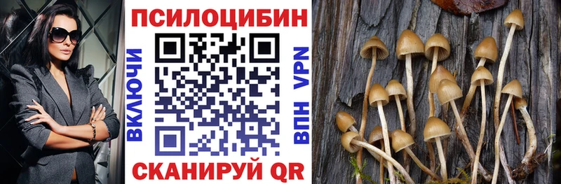 Галлюциногенные грибы прущие грибы  Суровикино 