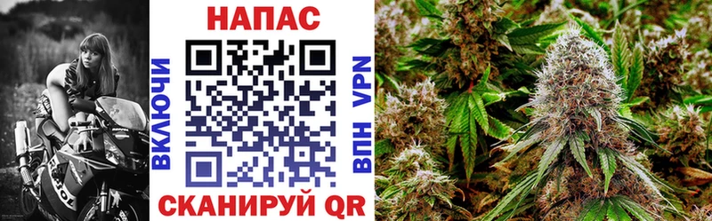 где купить   Суровикино  Бошки Шишки тримм 